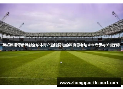 英超停摆背后折射全球体育产业脆弱性的深度思考与未来启示与关键洞察