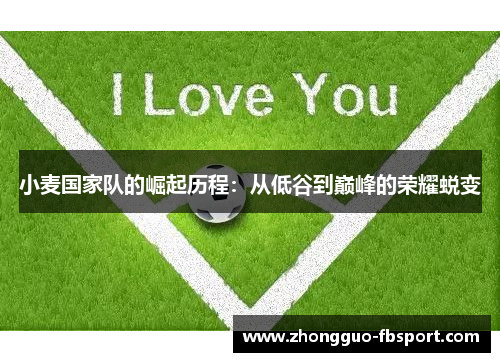 小麦国家队的崛起历程：从低谷到巅峰的荣耀蜕变